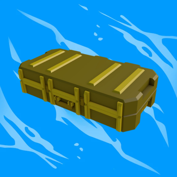 Skin Case 2